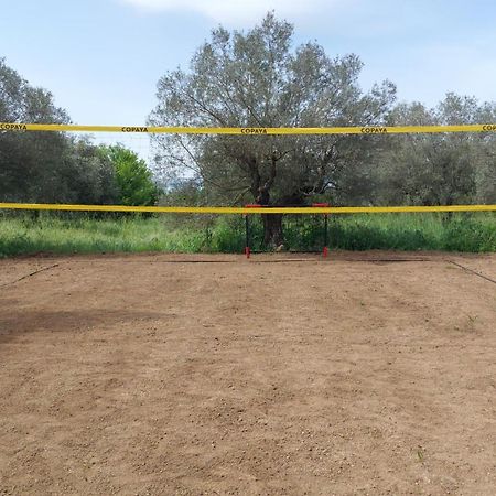 Apartament Casale Citerno Bolsena Zewnętrze zdjęcie