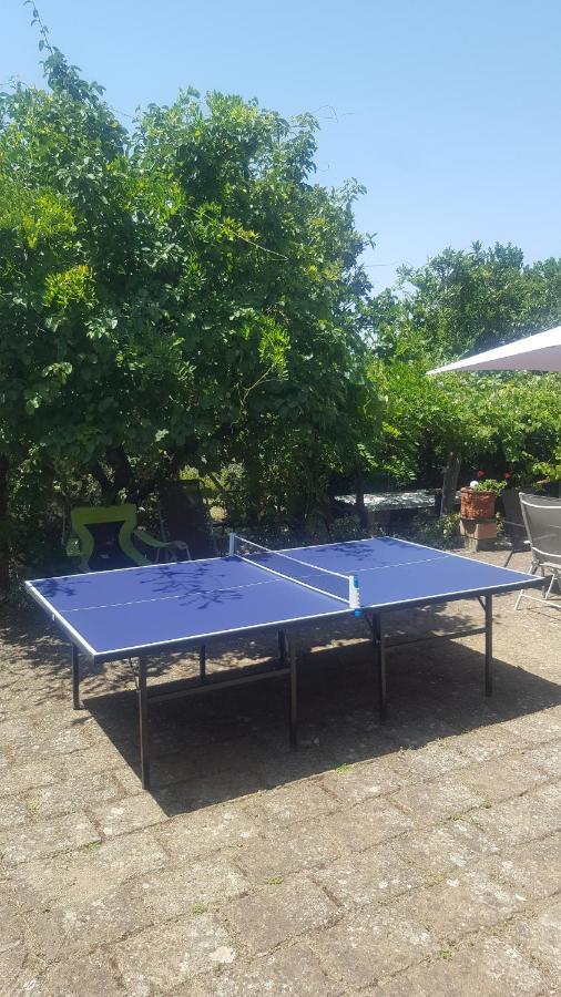 Apartament Casale Citerno Bolsena Zewnętrze zdjęcie