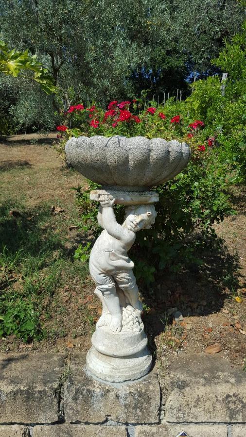 Apartament Casale Citerno Bolsena Zewnętrze zdjęcie