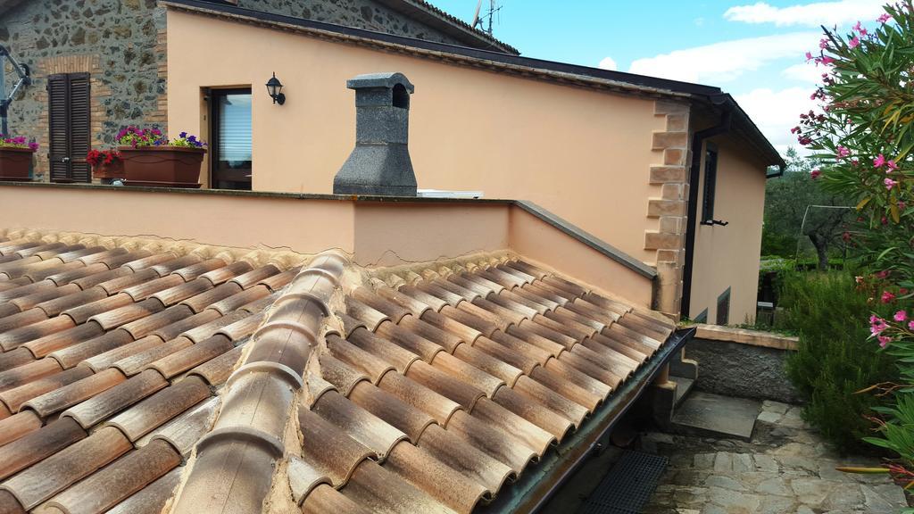 Apartament Casale Citerno Bolsena Zewnętrze zdjęcie