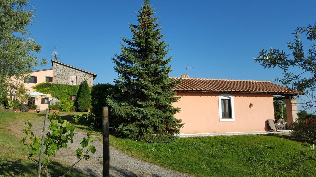 Apartament Casale Citerno Bolsena Zewnętrze zdjęcie